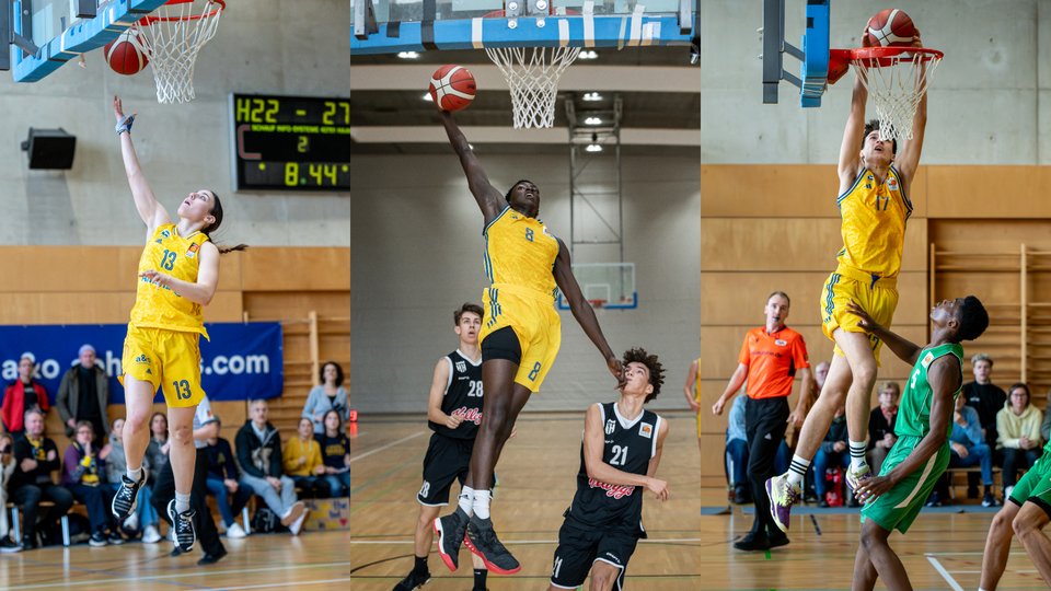 Jetzt anmelden für die Tryouts unserer NBBL-, WNBL- und JBBL-Teams!